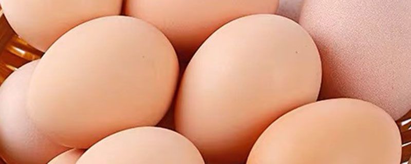 雞蛋里為什么有黑色的東西 1
