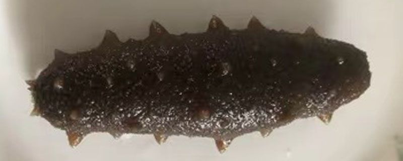 海參有保質期嗎?干海參能存放幾年 1