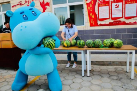 盒馬x會員店會員日打折嗎 盒馬鮮生的會員劃算嗎 2