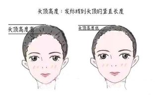 頭頂疼與仙家有關系嗎 4