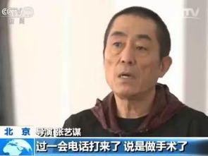 劉巖為什么叫劉一腿 劉巖摔了以后怎么樣了 1