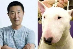 長得像林永健的狗是哪種狗