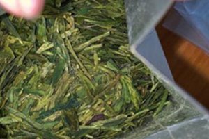 烏龍茶可以做奶茶喝嗎