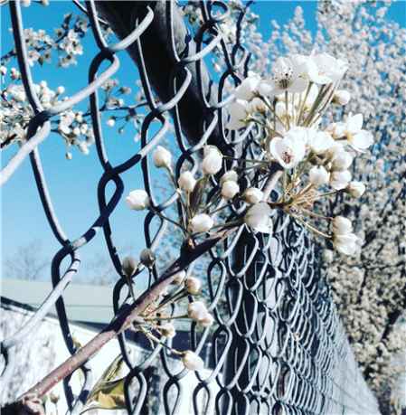 早晨朋友圈幽默風(fēng)趣的句子 早晨幽默朋友圈說(shuō)說(shuō) 2