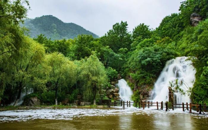 好看的春雨圖片 山東各地春雨圖片太美了 6