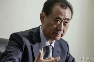 王健林子擁有多少資產