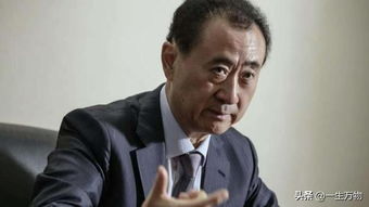 王健林子擁有多少資產 1