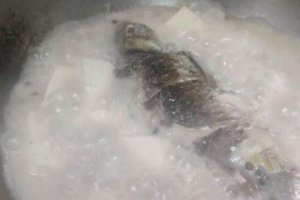 泥鰍什么人不能吃 泥鰍不能和什么一起吃？