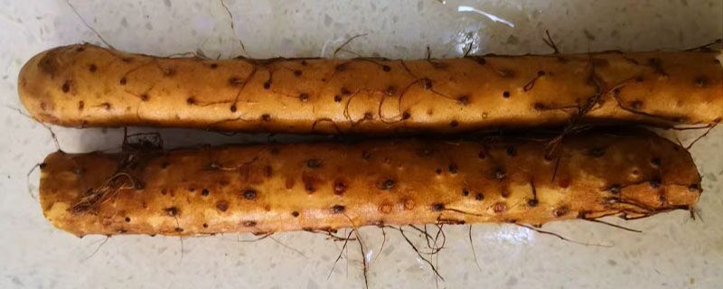 山藥有點紫色能吃嗎 山藥紫色的可以吃嗎 1