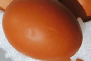 煮雞蛋用冷水煮嗎 怎么煮雞蛋不破殼