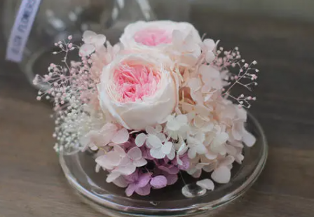 永生花屬于鮮花嗎 2