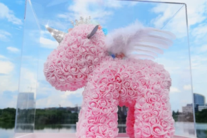 永生花屬于鮮花嗎