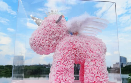 永生花屬于鮮花嗎 1