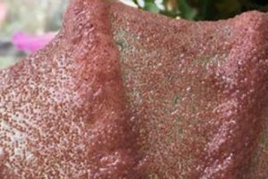 顆粒海藻面膜有保質(zhì)期嗎  顆粒海藻面膜怎么敷