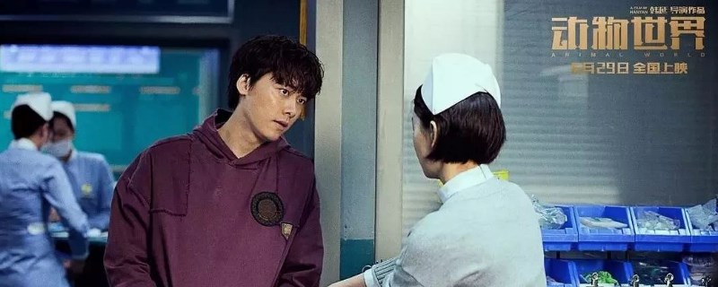 動物世界劉青守護鄭開司 2