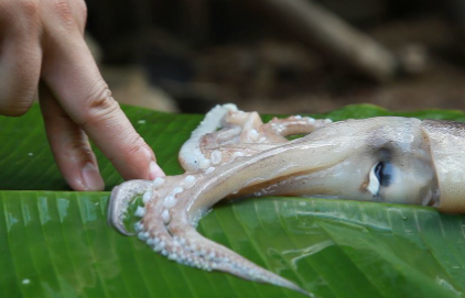 魷魚怎么剝皮快 魷魚怎樣去皮最快 1
