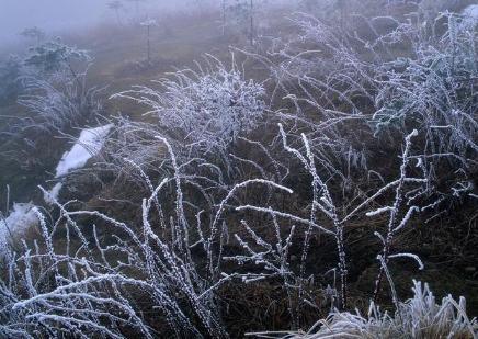 什么樣天氣會下霜 天氣幾度才會下霜 3