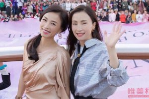 陶虹入股張庭公司分紅四億 陶虹方稱純粹是流言
