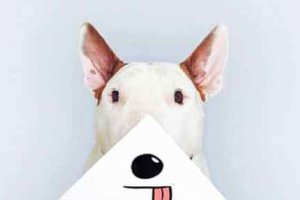 一個男人情商低的表現 常常會錯別人的意思
