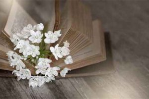 老婆太強(qiáng)勢(shì)了我很壓抑 學(xué)會(huì)帶給婚姻一些新鮮感
