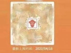 黃碼是代表啥意思 能出門嗎 1