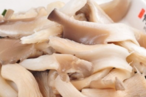 平菇顏色發(fā)黑 平菇為什么是黑色的