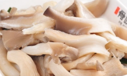 平菇顏色發黑 平菇為什么是黑色的 1