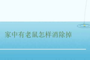 家里有老鼠怎么除掉 家里有老鼠如何根治