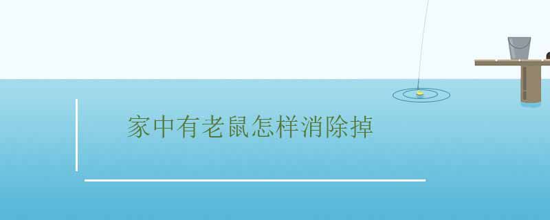家里有老鼠怎么除掉 家里有老鼠如何根治 1
