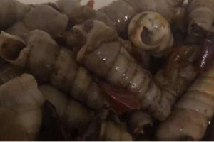 海螺好吃嗎什么味道