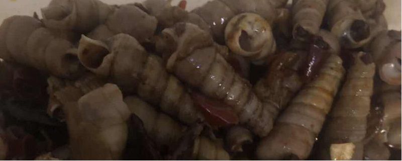 海螺好吃嗎什么味道 1