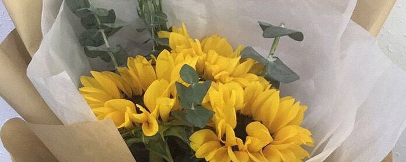 怎么讓鮮花保持新鮮 鮮花保鮮的方法有哪些 1