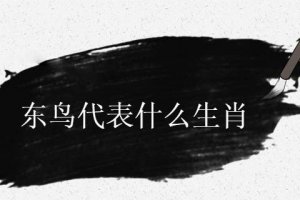 東鳥歸來安新家是什么生肖