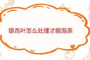 銀杏葉如何炮制才能泡茶喝