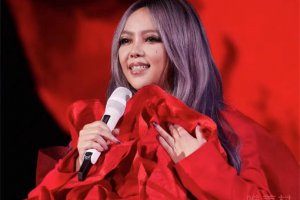 張惠妹演唱會23人確診 引來了不少網友的怒斥