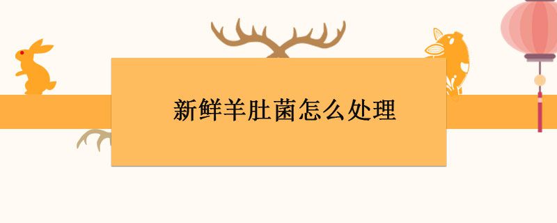 羊肚菌怎么處理干凈 1