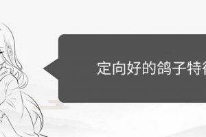 定向好的信鴿特點 賽鴿定向好的鑒別