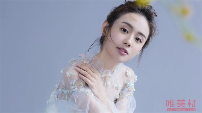 鄭合惠子沒人捧 鄭合惠子為什么火不起來 2