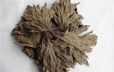 艾草是起什么作用 艾草對(duì)身體有哪些好處 2