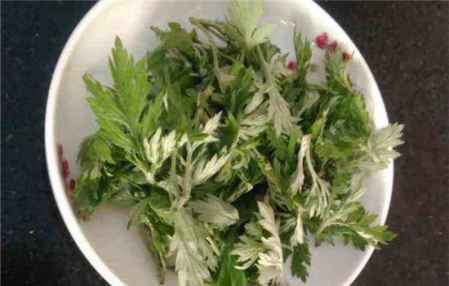艾草是起什么作用 艾草對(duì)身體有哪些好處 3