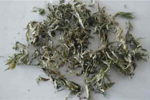 艾草是起什么作用 艾草對身體有哪些好處