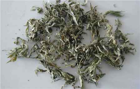 艾草是起什么作用 艾草對(duì)身體有哪些好處 1