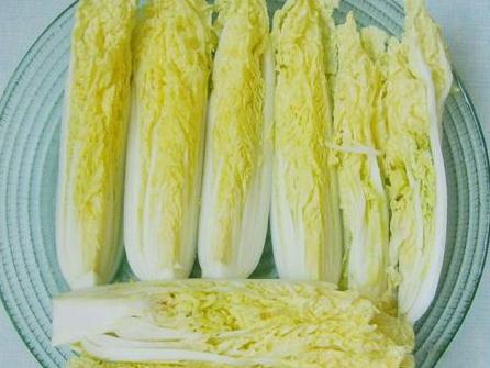 黃芽菜是什么菜 白菜與黃芽菜有什么區別 2