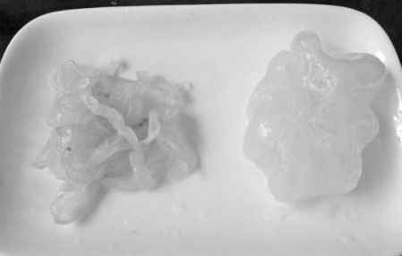 人造海蜇是什么東西做的 真海蜇絲和人造海蜇絲辨別方法 1