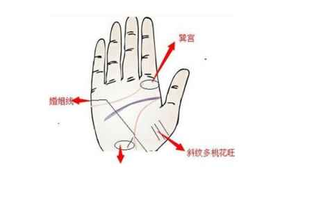 看手相桃花運怎么看 婚姻線看桃花運 2