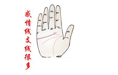 看手相桃花運怎么看 婚姻線看桃花運 3
