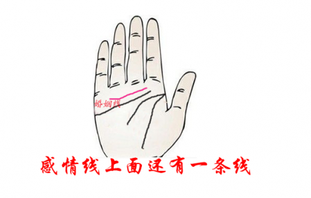 看手相桃花運怎么看 婚姻線看桃花運 4