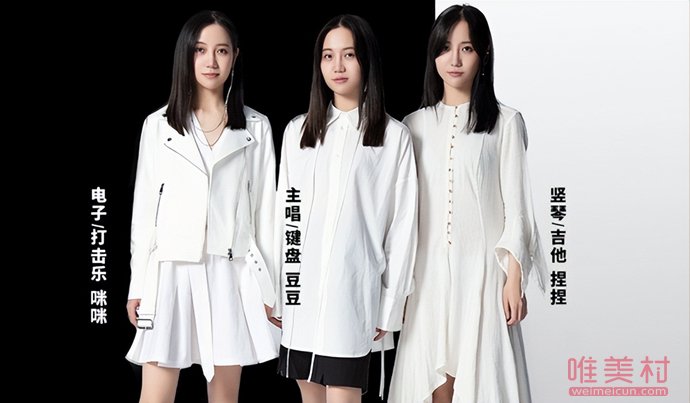 福祿壽樂隊成員杜雪兒走私毒品被判刑1年 1