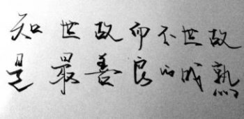 知世故而不世故什么意思 走過最遠的路就是你的套路 2