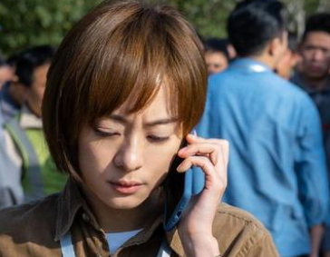 英雄無悔演員介紹 真人真事改編的紀實電視劇 2